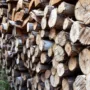 NunnaUuni kachels: Gouden Vuur verbrandt hout schoon en efficiënt